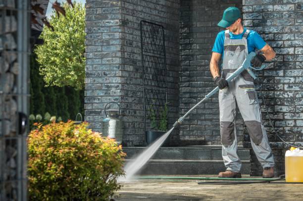 Best Solar Panel Cleaning  in North Fork, CA